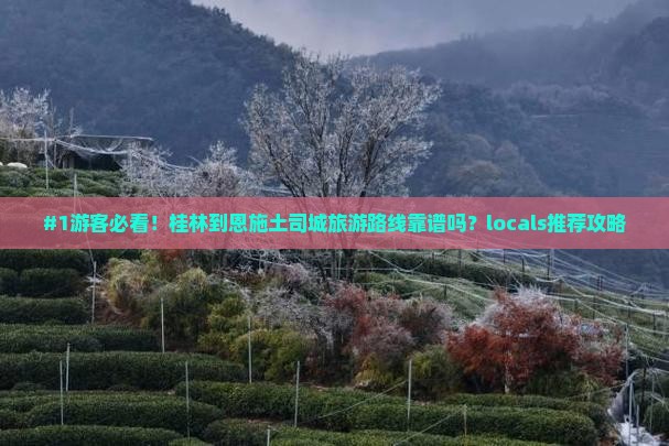 #1游客必看！桂林到恩施土司城旅游路线靠谱吗？locals推荐攻略