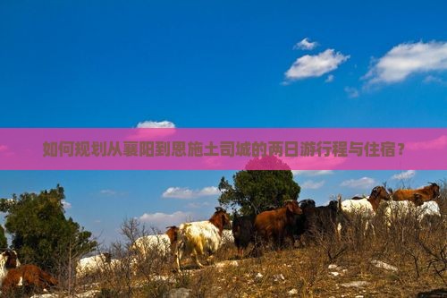 如何规划从襄阳到恩施土司城的两日游行程与住宿？