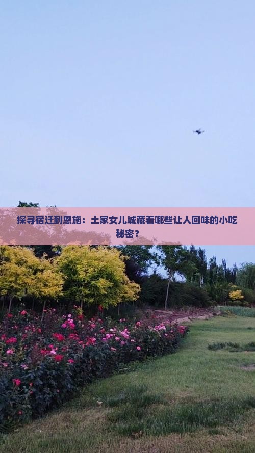探寻宿迁到恩施：土家女儿城藏着哪些让人回味的小吃秘密？