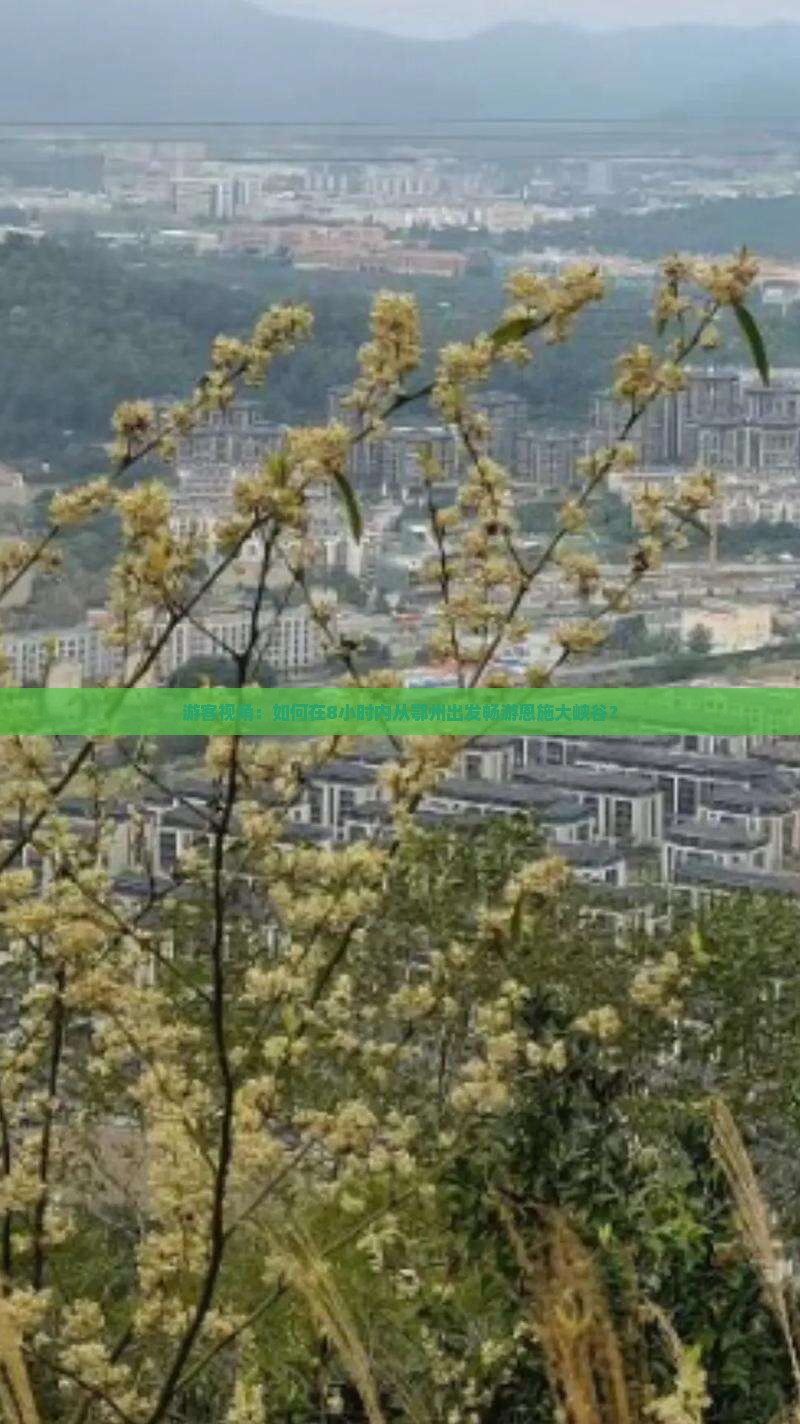 游客视角：如何在8小时内从鄂州出发畅游恩施大峡谷？