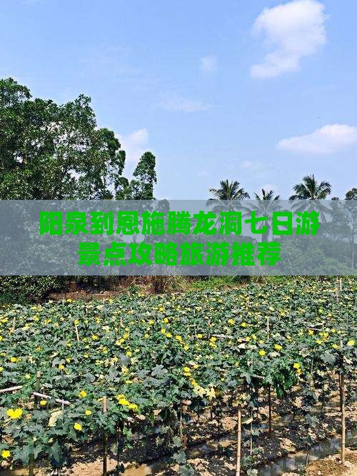 阳泉到恩施腾龙洞七日游景点攻略旅游推荐