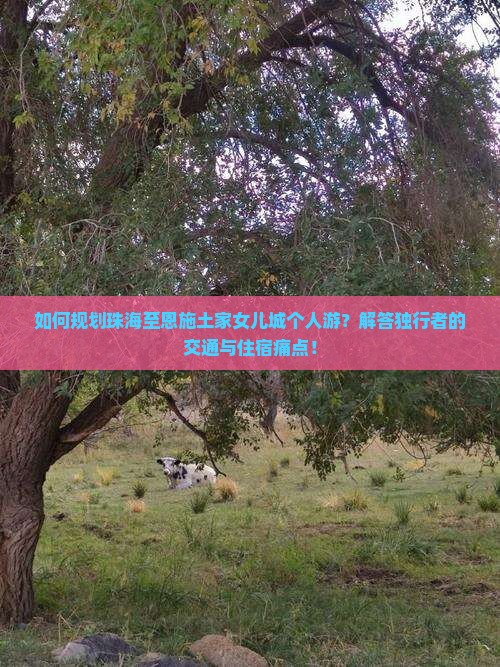 如何规划珠海至恩施土家女儿城个人游？解答独行者的交通与住宿痛点！