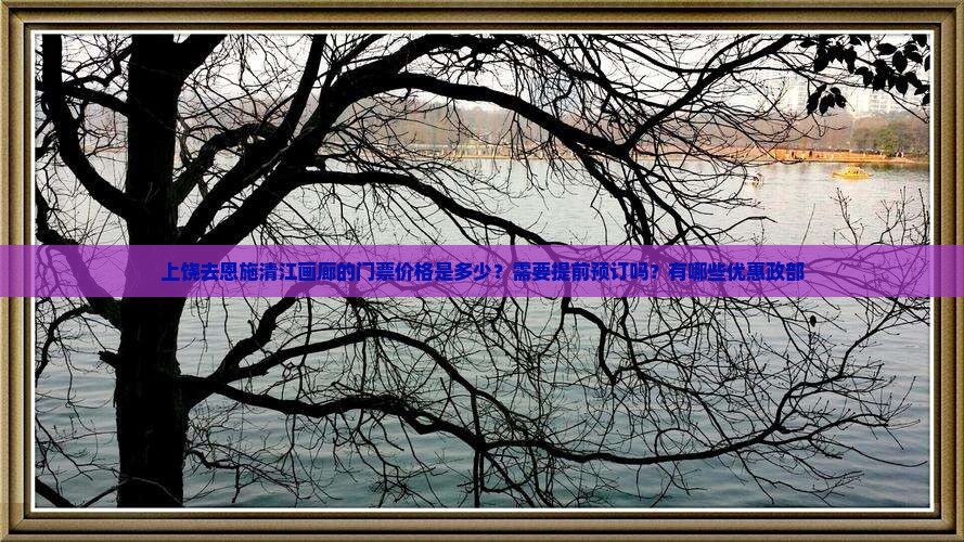上饶去恩施清江画廊的门票价格是多少？需要提前预订吗？有哪些优惠政部