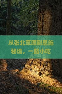 从张北草原到恩施秘境，一路小吃探秘，大峡谷的味蕾奇旅等你开启！