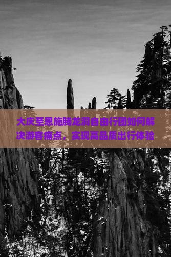 大庆至恩施腾龙洞自由行团如何解决游客痛点，实现高品质出行体验？