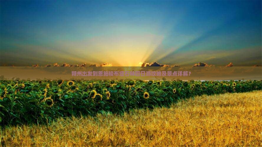 朔州出发到恩施梭布垭石林四日游攻略及景点详解？