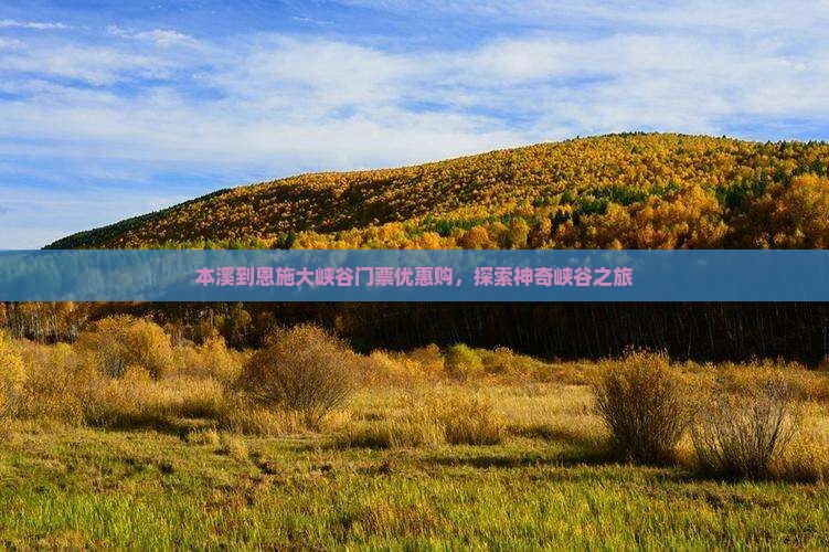 本溪到恩施大峡谷门票优惠购，探索神奇峡谷之旅