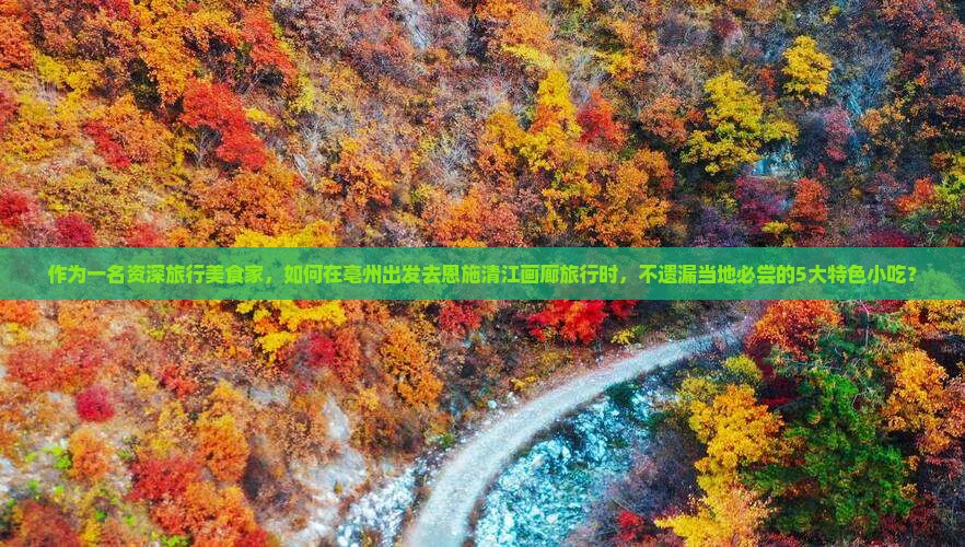 作为一名资深旅行美食家，如何在亳州出发去恩施清江画廊旅行时，不遗漏当地必尝的5大特色小吃？