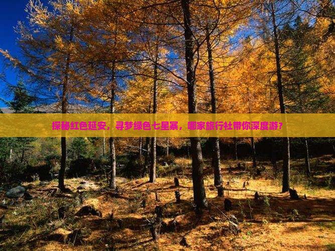 探秘红色延安，寻梦绿色七星寨，哪家旅行社带你深度游？