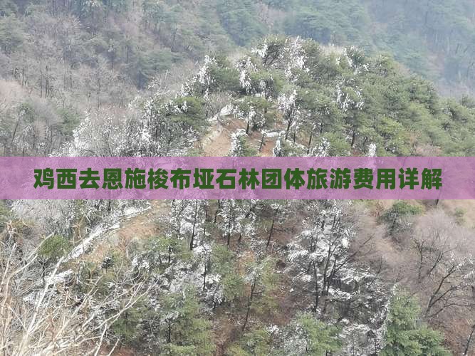鸡西去恩施梭布垭石林团体旅游费用详解