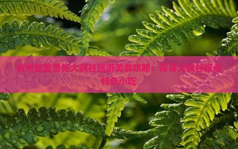 杭州出发恩施大峡谷旅游美食攻略：探寻大峡谷景点特色小吃
