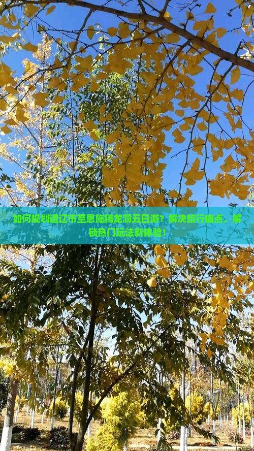 如何规划通辽市至恩施腾龙洞五日游？解决旅行痛点，解锁热门玩法新体验！