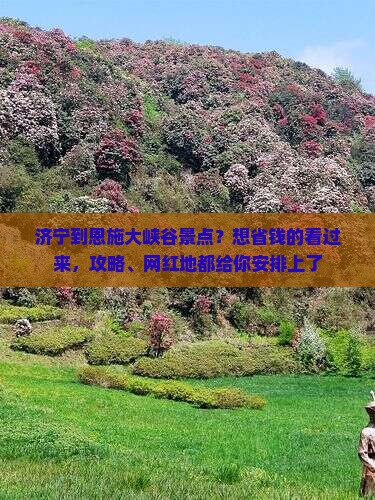 济宁到恩施大峡谷景点？想省钱的看过来，攻略、网红地都给你安排上了