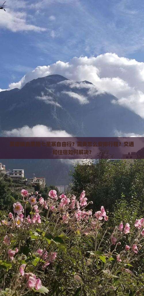 景德镇去恩施七星寨自由行？需要怎么安排行程？交通和住宿如何解决？