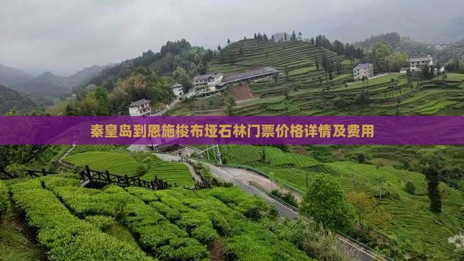 秦皇岛到恩施梭布垭石林门票价格详情及费用