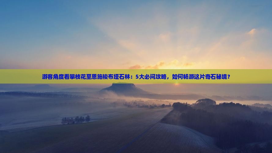 游客角度看攀枝花至恩施梭布垭石林：5大必问攻略，如何畅游这片奇石秘境？