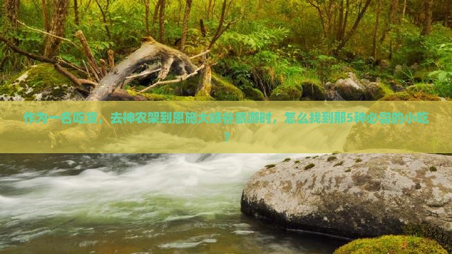 作为一名吃货，去神农架到恩施大峡谷旅游时，怎么找到那5种必尝的小吃？