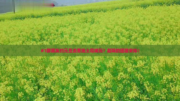 #1群朋友约元旦去恩施土司城玩？超嗨的团建安排！