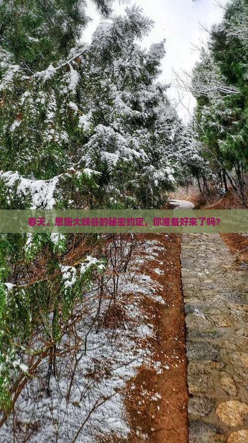 春天，恩施大峡谷的秘密约定，你准备好来了吗？