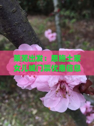 莱芜出发：恩施土家女儿城门票优惠信息