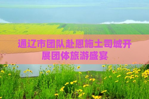 通辽市团队赴恩施土司城开展团体旅游盛宴