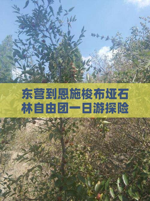 东营到恩施梭布垭石林自由团一日游探险之旅