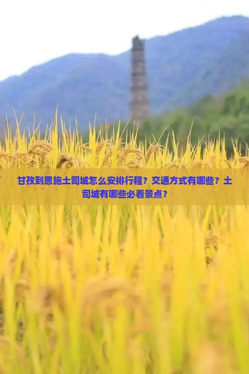 甘孜到恩施土司城怎么安排行程？交通方式有哪些？土司城有哪些必看景点？