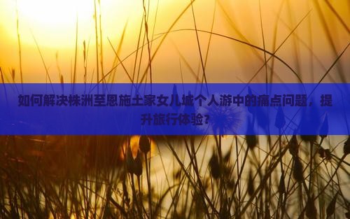 如何解决株洲至恩施土家女儿城个人游中的痛点问题，提升旅行体验？