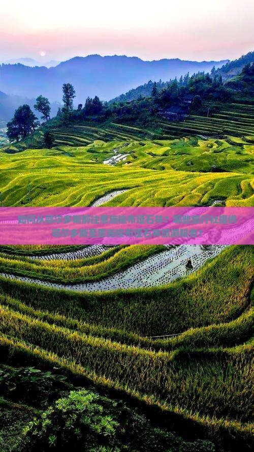 如何从鄂尔多斯前往恩施梭布垭石林？哪些旅行社提供鄂尔多斯至恩施梭布垭石林旅游服务？