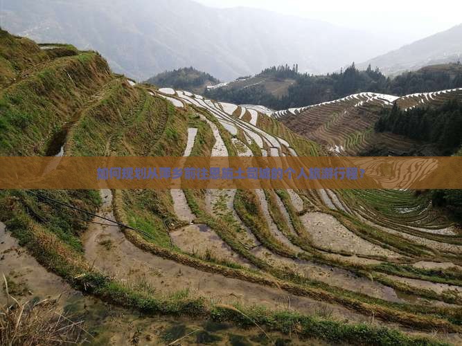 如何规划从萍乡前往恩施土司城的个人旅游行程？