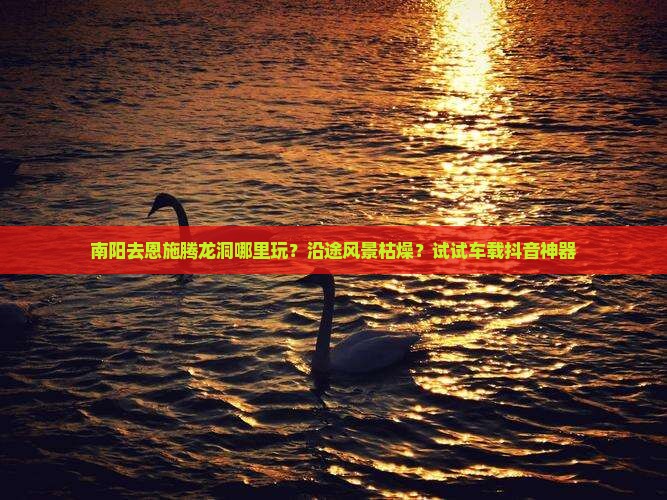 南阳去恩施腾龙洞哪里玩？沿途风景枯燥？试试车载抖音神器