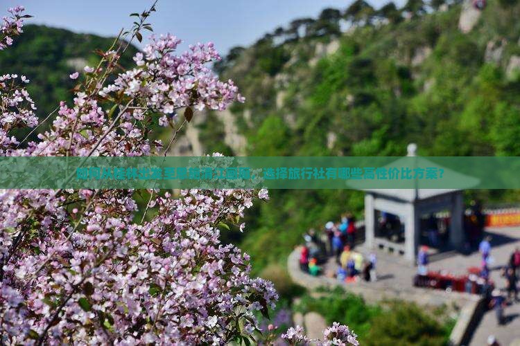如何从桂林出发至恩施清江画廊，选择旅行社有哪些高性价比方案？