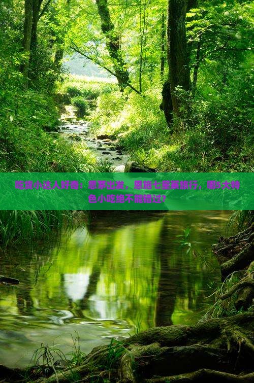 吃货小达人好奇：思茅出发，恩施七星寨旅行，哪5大特色小吃绝不能错过？