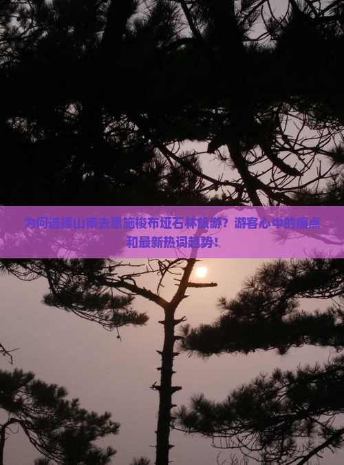 为何选择山南去恩施梭布垭石林旅游？游客心中的痛点和最新热词趋势！