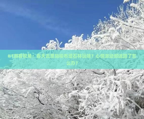 #1游客视角：春天去恩施梭布垭石林玩啥？心情激动却迷路了怎么办？