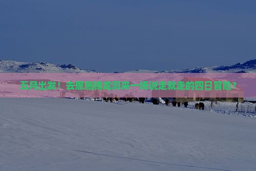 五月出发！去恩施腾龙洞来一场说走就走的四日冒险？