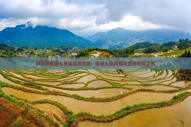 伊春去恩施七星寨旅游攻略：探寻土家风情与自然奇观之旅