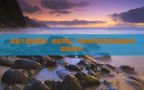 穿越千里的相遇：哈密朋友，恩施梭布垭石林的秘密等你揭开吗？