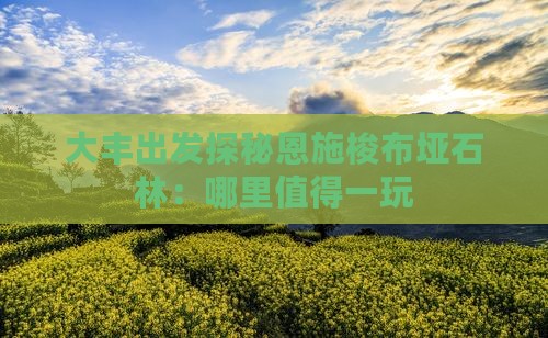 大丰出发探秘恩施梭布垭石林：哪里值得一玩