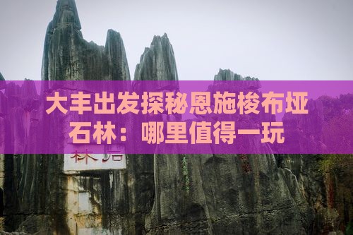 大丰出发探秘恩施梭布垭石林：哪里值得一玩