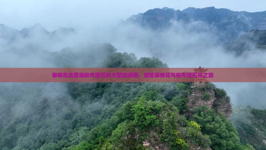 攀枝花去恩施梭布垭石林大型旅游团，游览攀枝花与梭布垭石林之旅