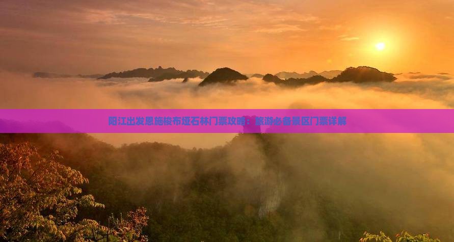 阳江出发恩施梭布垭石林门票攻略：旅游必备景区门票详解