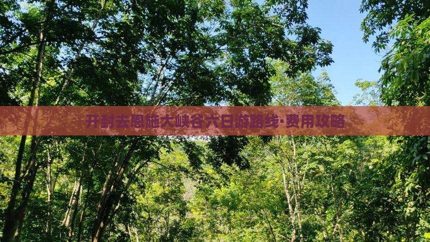 开封去恩施大峡谷六日游路线·费用攻略