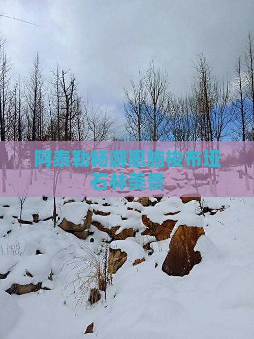 阿泰勒畅游恩施梭布垭石林美景