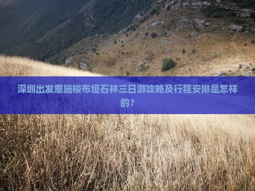 深圳出发恩施梭布垭石林三日游攻略及行程安排是怎样的？