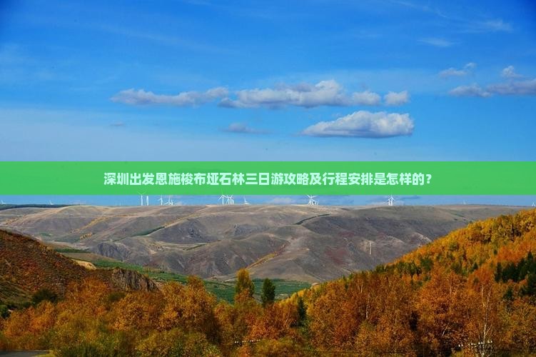 深圳出发恩施梭布垭石林三日游攻略及行程安排是怎样的？