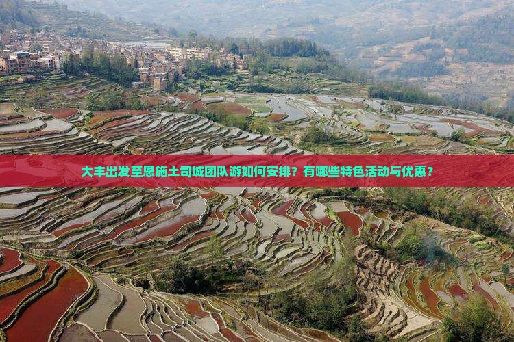 大丰出发至恩施土司城团队游如何安排？有哪些特色活动与优惠？
