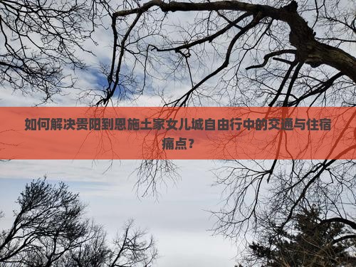如何解决贵阳到恩施土家女儿城自由行中的交通与住宿痛点？