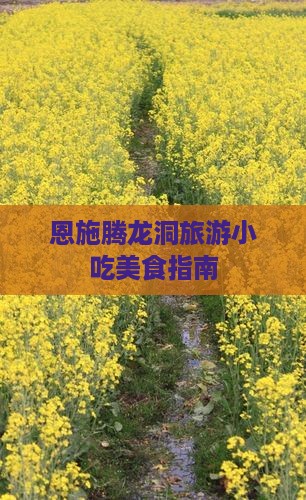 襄樊去恩施腾龙洞旅游小吃