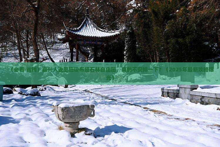 嘉兴去恩施梭布垭石林自由团
